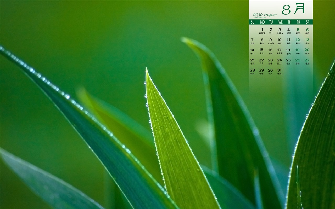 De agosto de el año 2016 fondo de pantalla de calendario (1) #12 - 1280x800