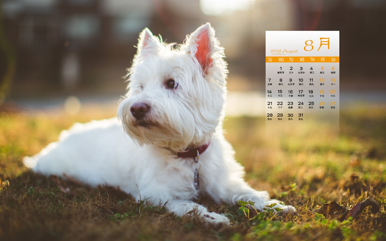 August 2016 calendar wallpaper (1) #15 - 1280x800