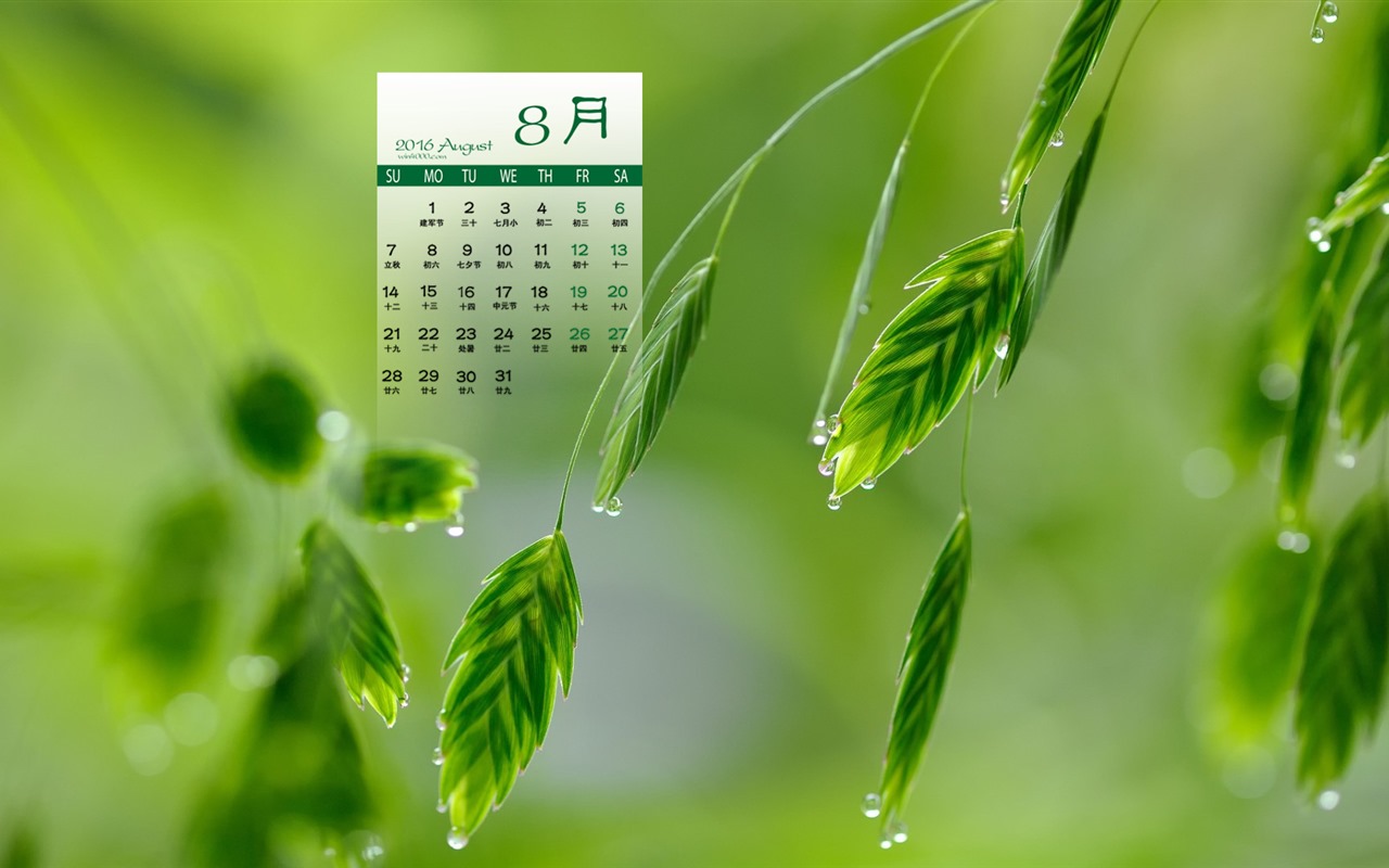 August 2016 calendar wallpaper (2) #6 - 1280x800