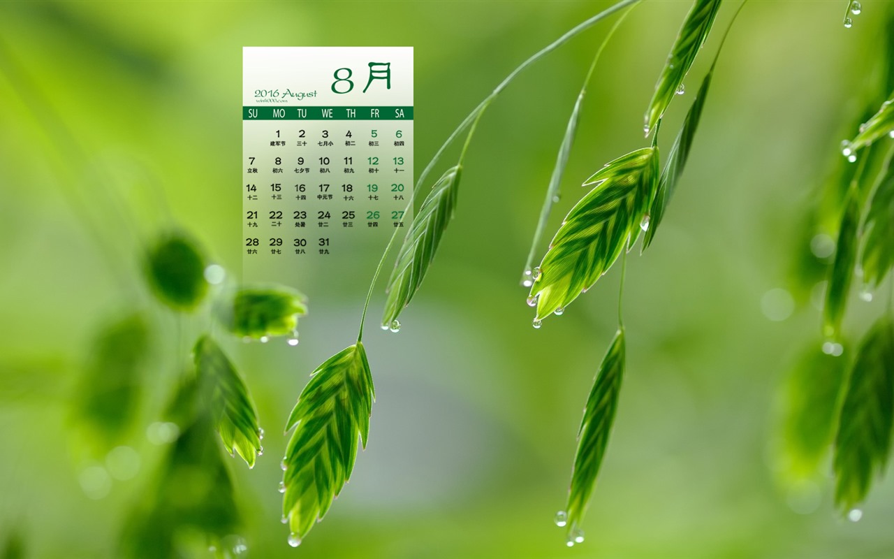 De agosto de el año 2016 fondo de pantalla de calendario (2) #6 - 1280x800