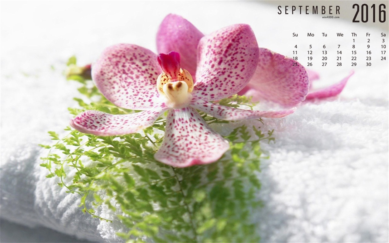 September 2016 Kalender Wallpaper (1) #11 - 1280x800