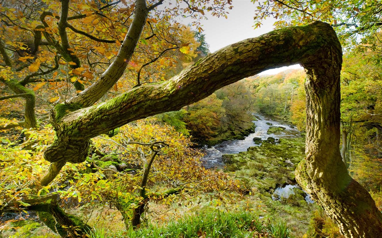 Července 2016 Bing téma HD tapety na plochu (2) #30 - 1280x800