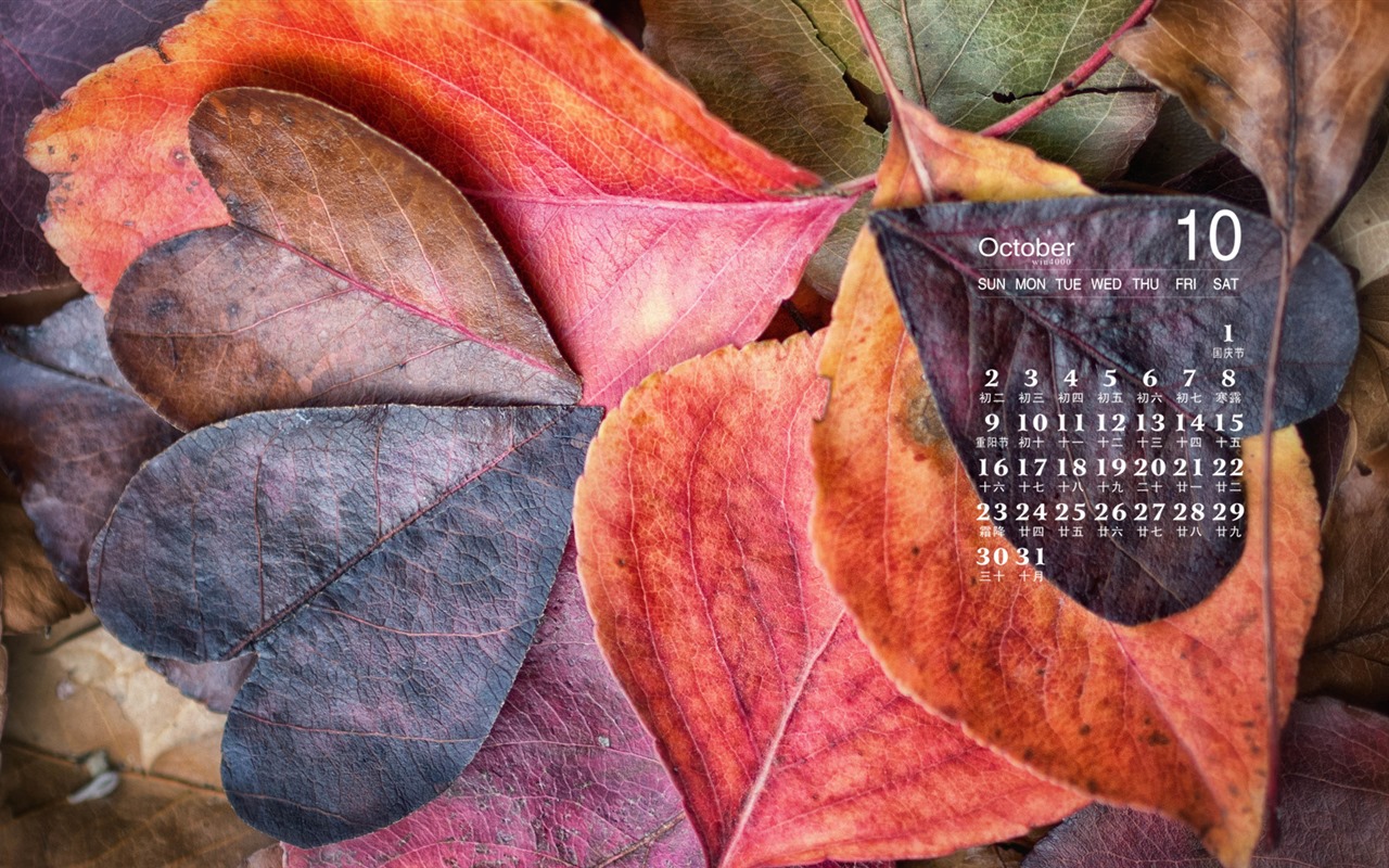 De octubre de el año 2016 fondo de pantalla de calendario (1) #9 - 1280x800