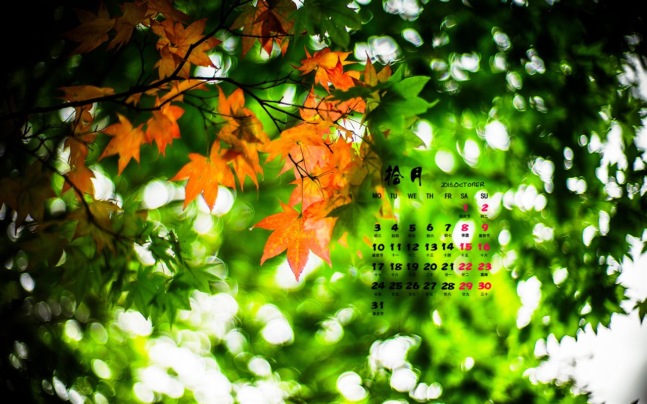 October 2016 calendar wallpaper (2) #2 - 1280x800