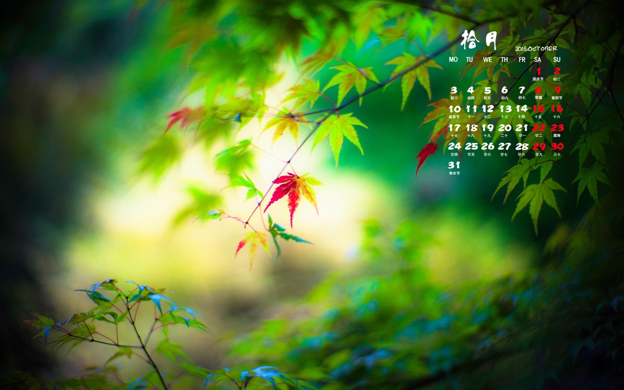 De octubre de el año 2016 fondo de pantalla de calendario (2) #3 - 1280x800