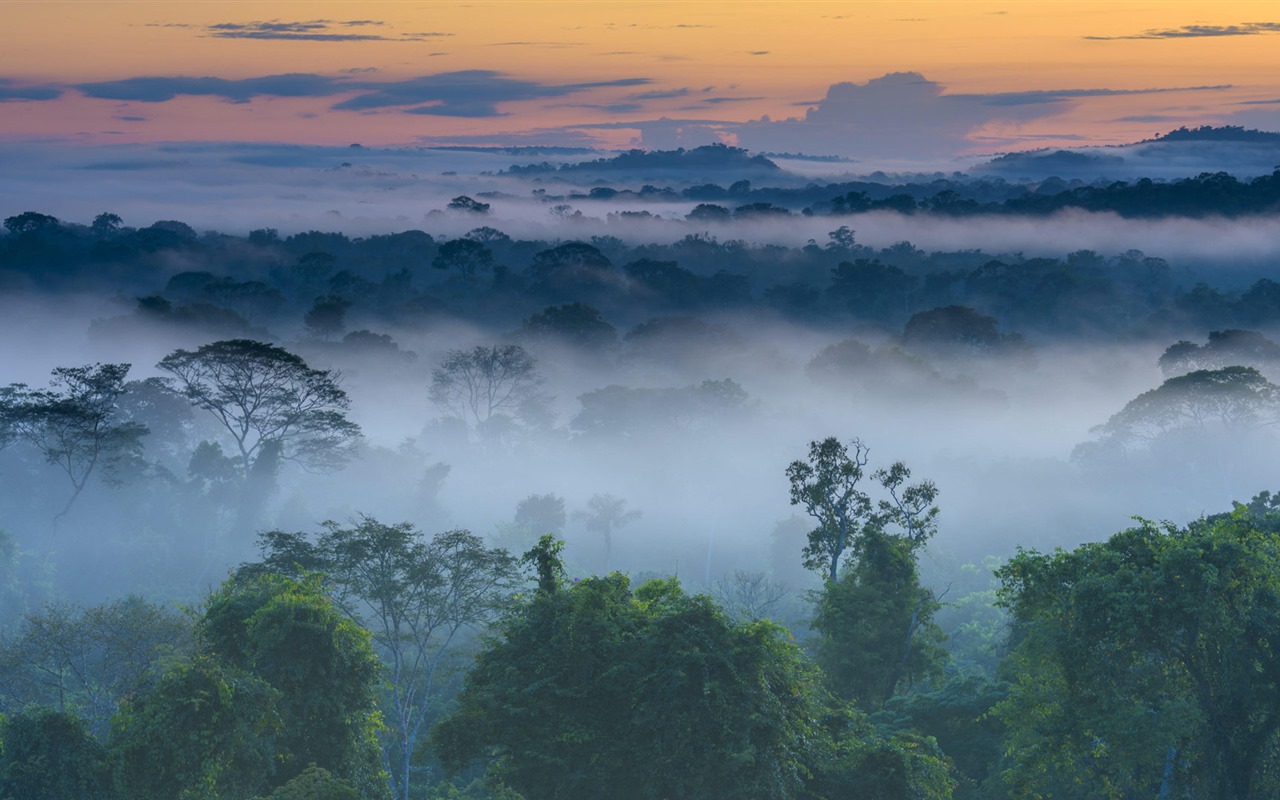 Août 2016 fonds d'écran Bing thème HD (1) #24 - 1280x800