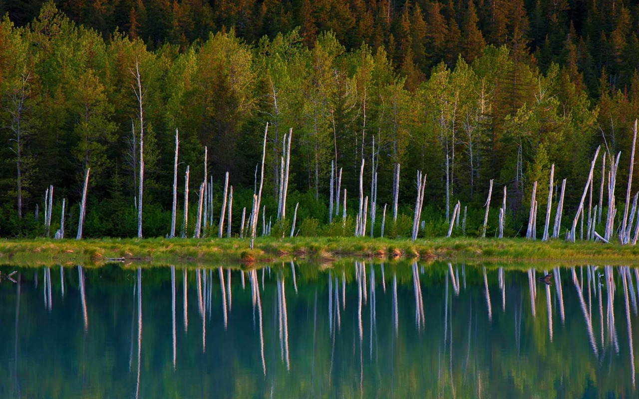 Srpen 2016 Bing téma HD tapety na plochu (2) #21 - 1280x800