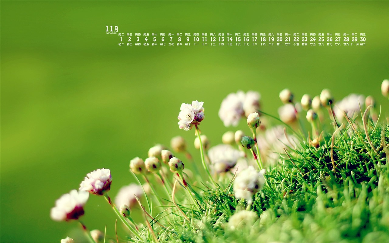 Listopadu 2016 kalendář tapeta (1) #9 - 1280x800
