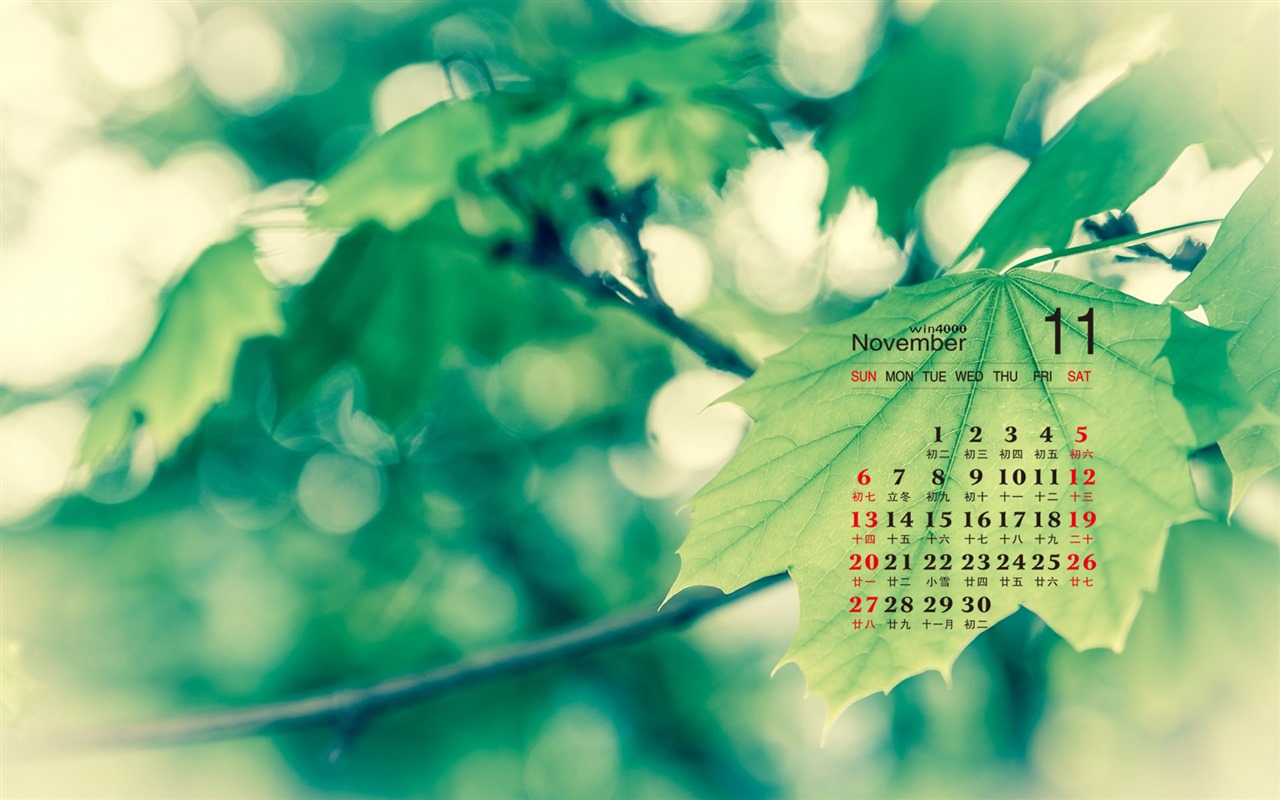 Fondo de escritorio del calendario de noviembre de 2016 (2) #5 - 1280x800