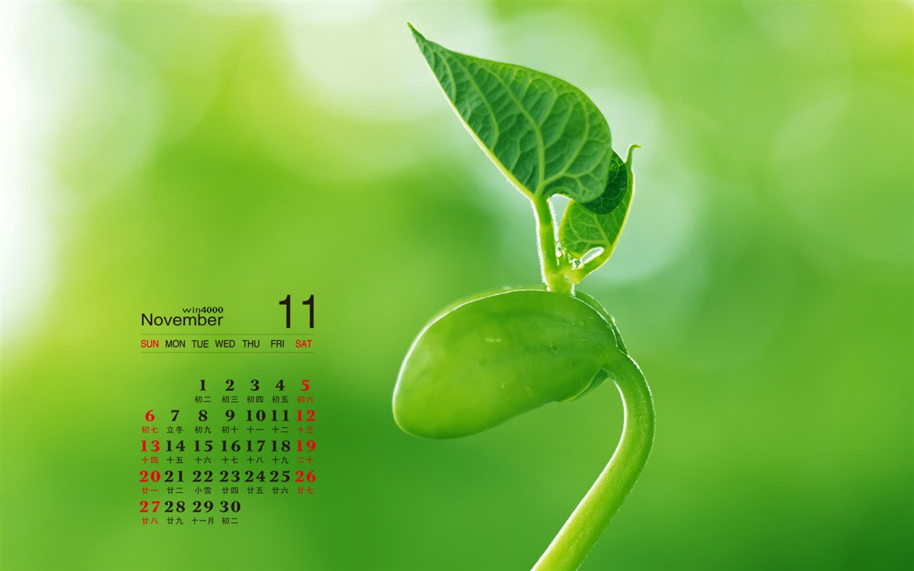 November 2016 calendar wallpaper (2) #6 - 1280x800