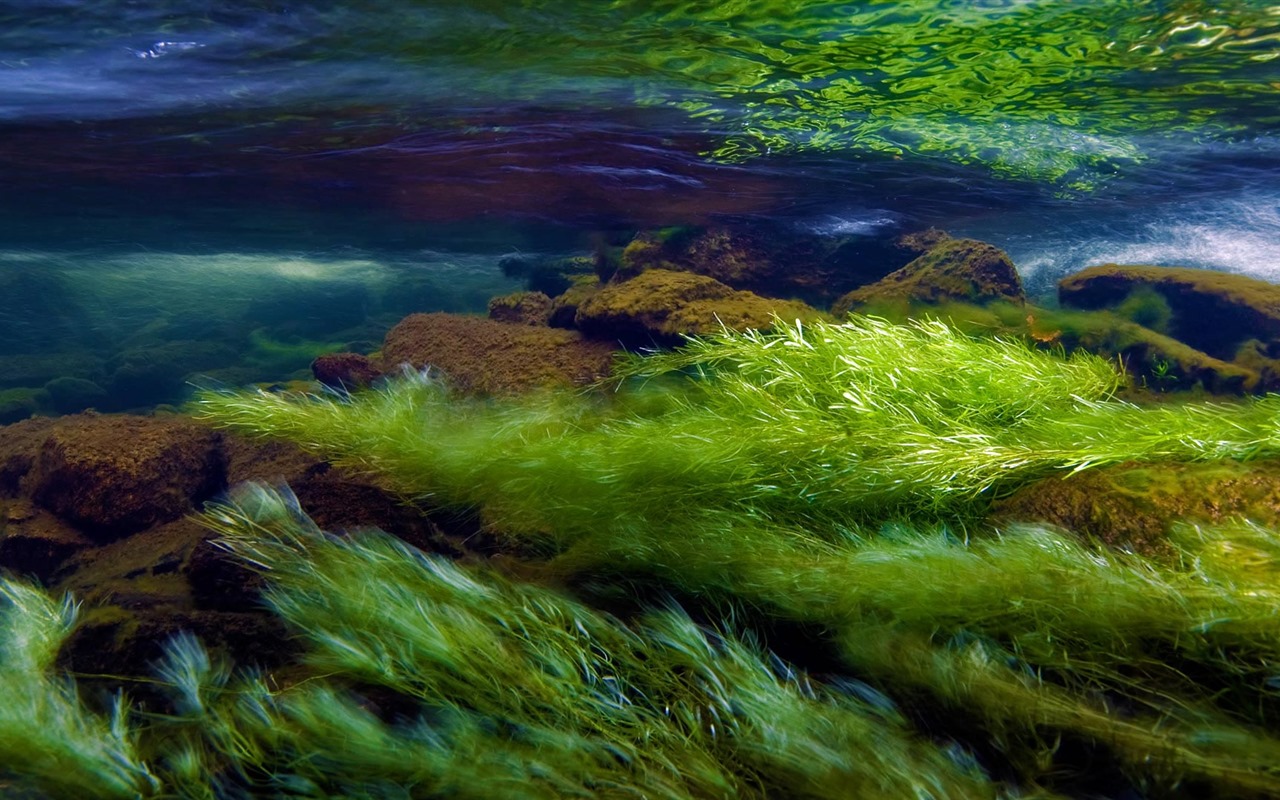 Září 2016 Bing téma HD tapety na plochu (1) #4 - 1280x800
