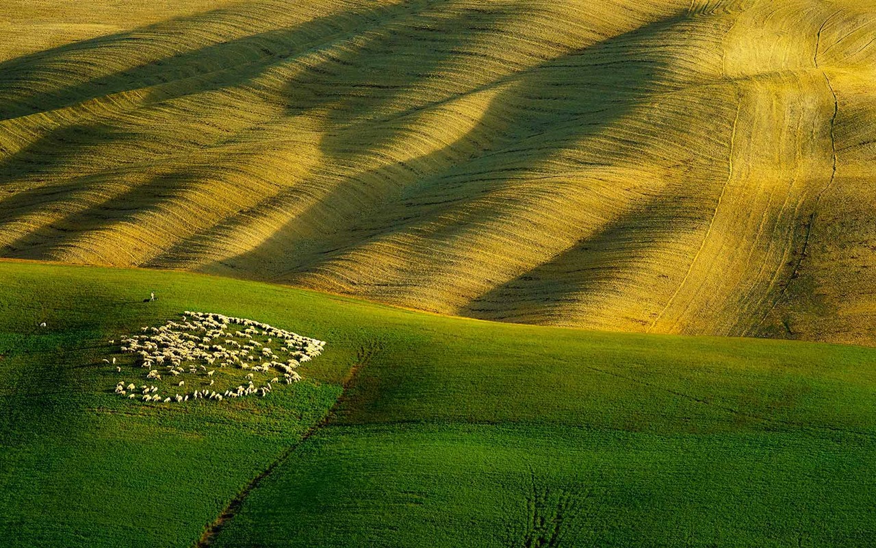 Září 2016 Bing téma HD tapety na plochu (1) #12 - 1280x800
