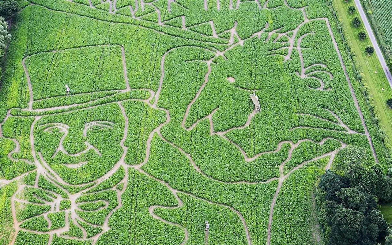 Septembre 2016 Bing thème Fonds d'écran HD (1) #32 - 1280x800