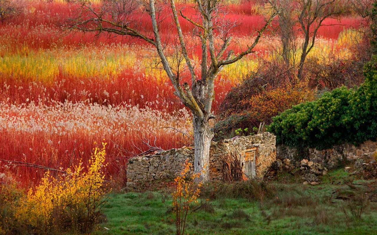 Septembre 2016 Bing thème Fonds d'écran HD (2) #11 - 1280x800