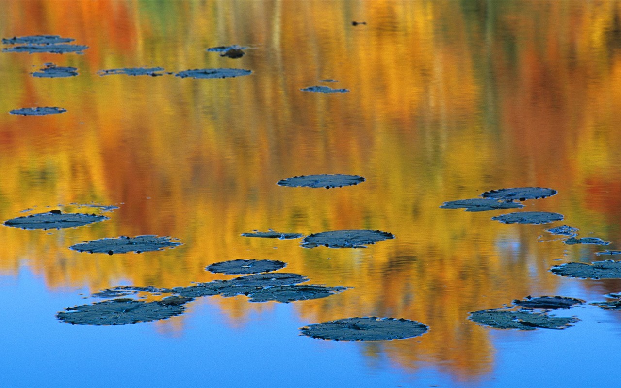 Septembre 2016 Bing thème Fonds d'écran HD (2) #15 - 1280x800