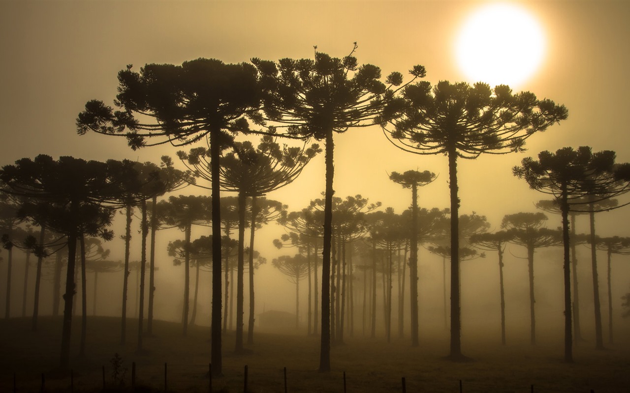 Září 2016 Bing téma HD tapety na plochu (2) #24 - 1280x800