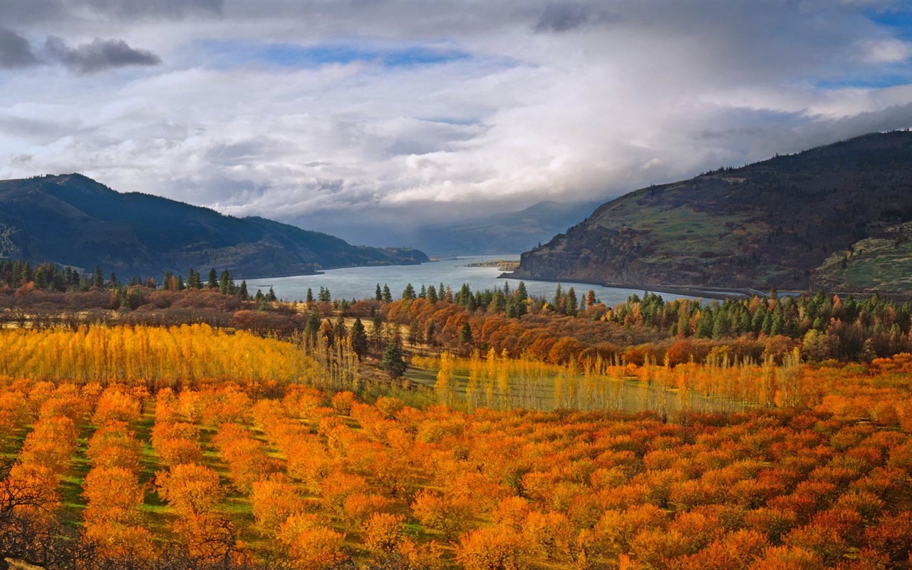 Octubre de 2016 Bing tema HD fondos de pantalla (1) #1 - 1280x800