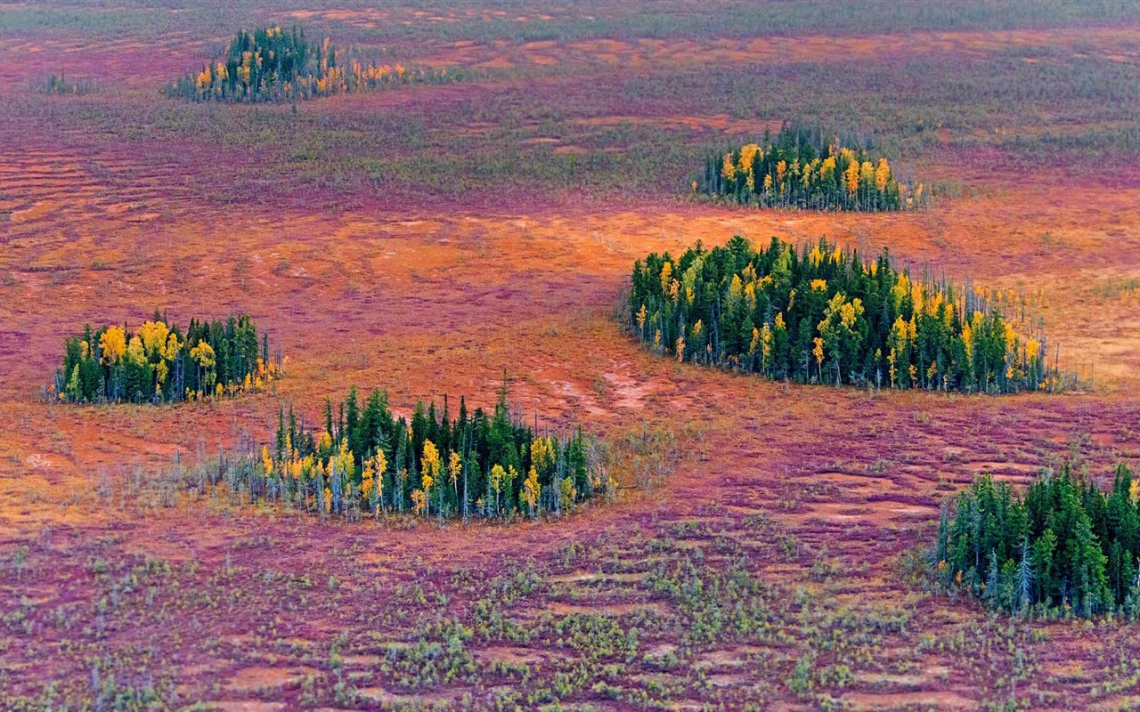 Octobre 2016 Bing thème HD fonds d'écran (1) #11 - 1280x800