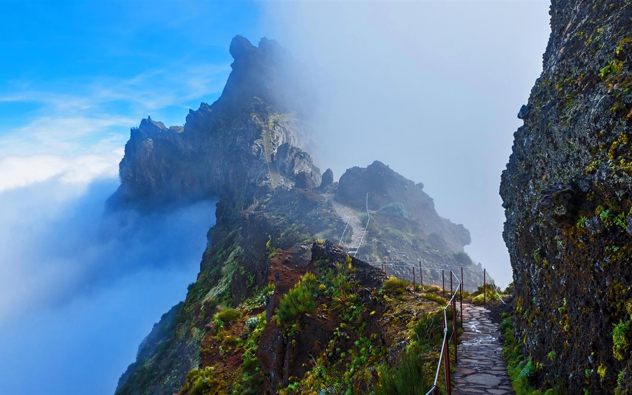 Octobre 2016 Bing thème HD fonds d'écran (1) #13 - 1280x800