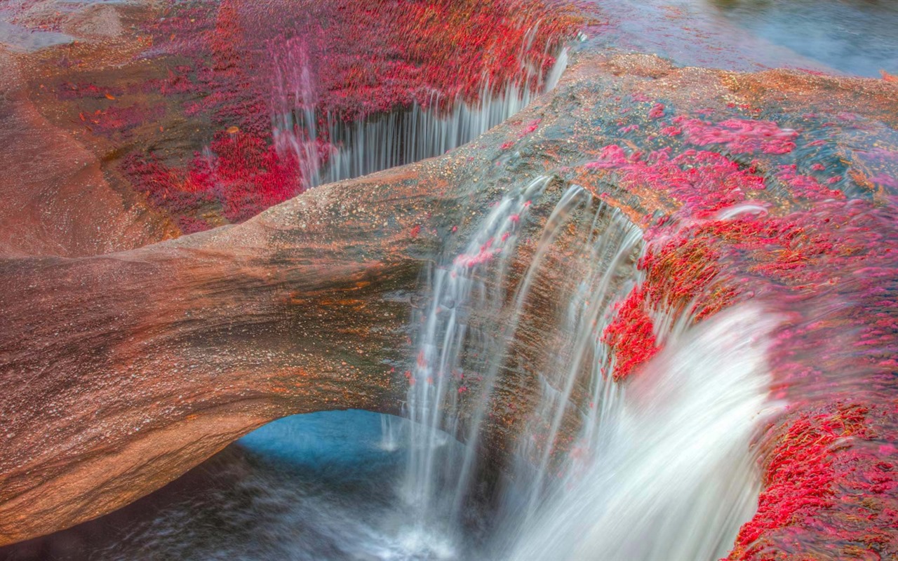 Octobre 2016 Bing thème HD fonds d'écran (1) #19 - 1280x800