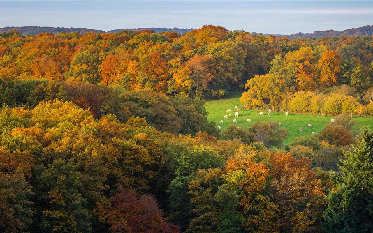 Octobre 2016 Bing thème HD fonds d'écran (1) #35 - 1280x800