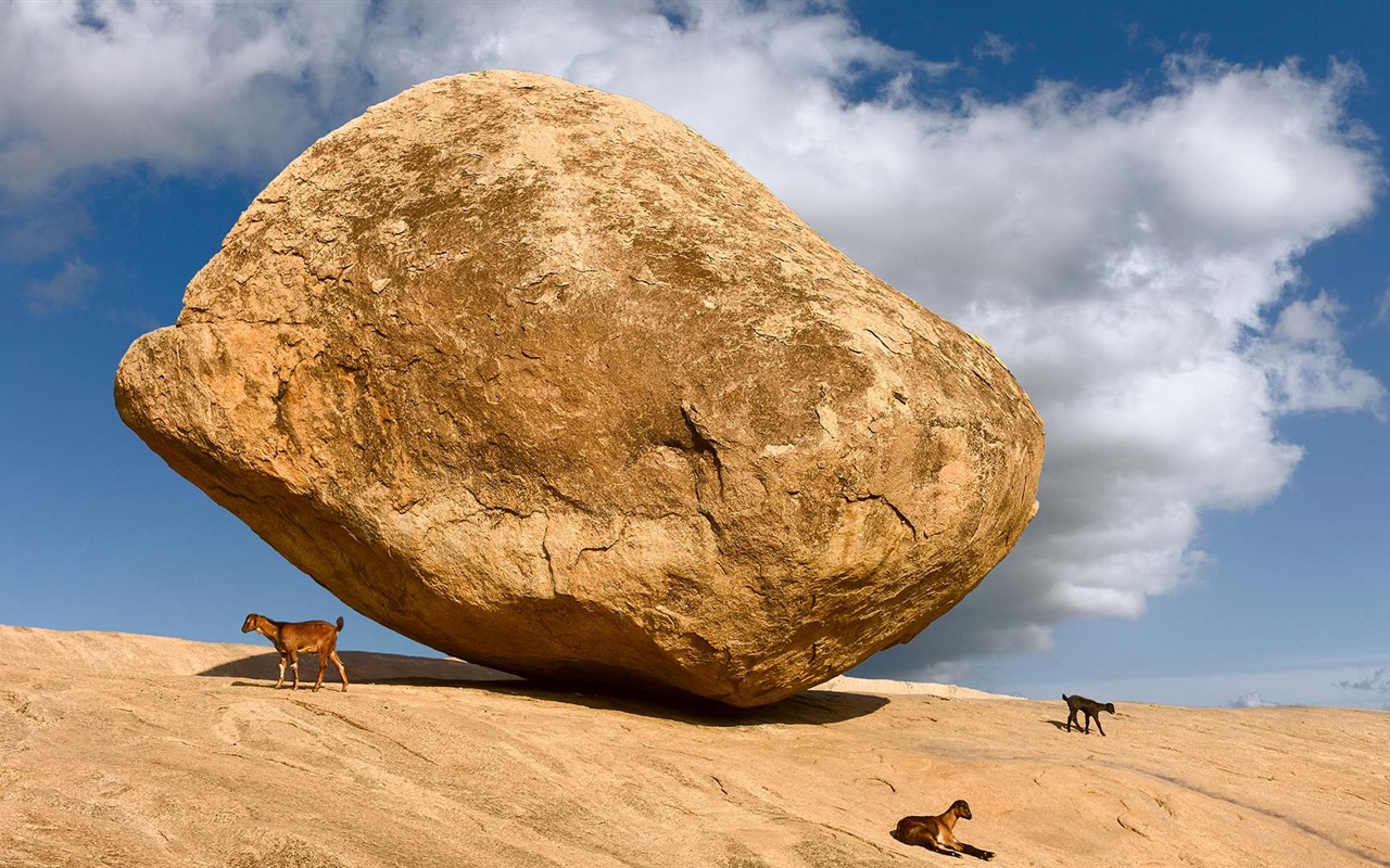 Octobre 2016 Bing thème HD fonds d'écran (2) #8 - 1280x800