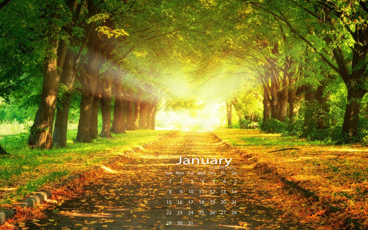 January 2017 calendar wallpaper (1) #2 - 1280x800