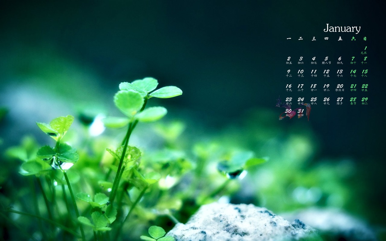 January 2017 calendar wallpaper (1) #10 - 1280x800