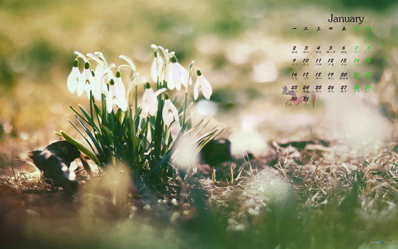 January 2017 calendar wallpaper (1) #14 - 1280x800