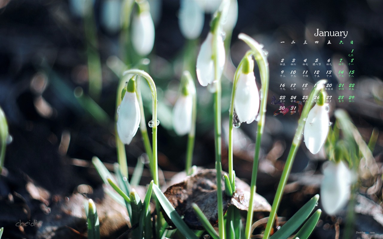 January 2017 calendar wallpaper (1) #15 - 1280x800