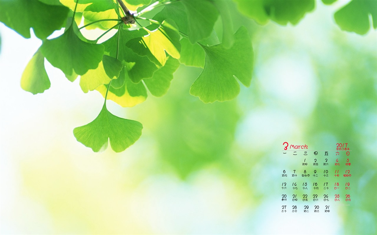 Fondo de pantalla del calendario de marzo de 2017 (1) #4 - 1280x800