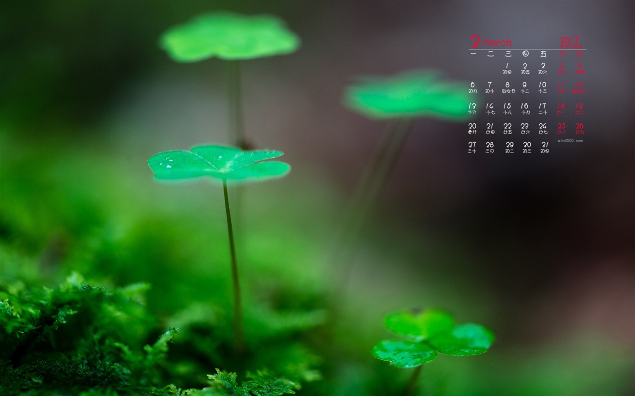 Fondo de pantalla del calendario de marzo de 2017 (1) #5 - 1280x800