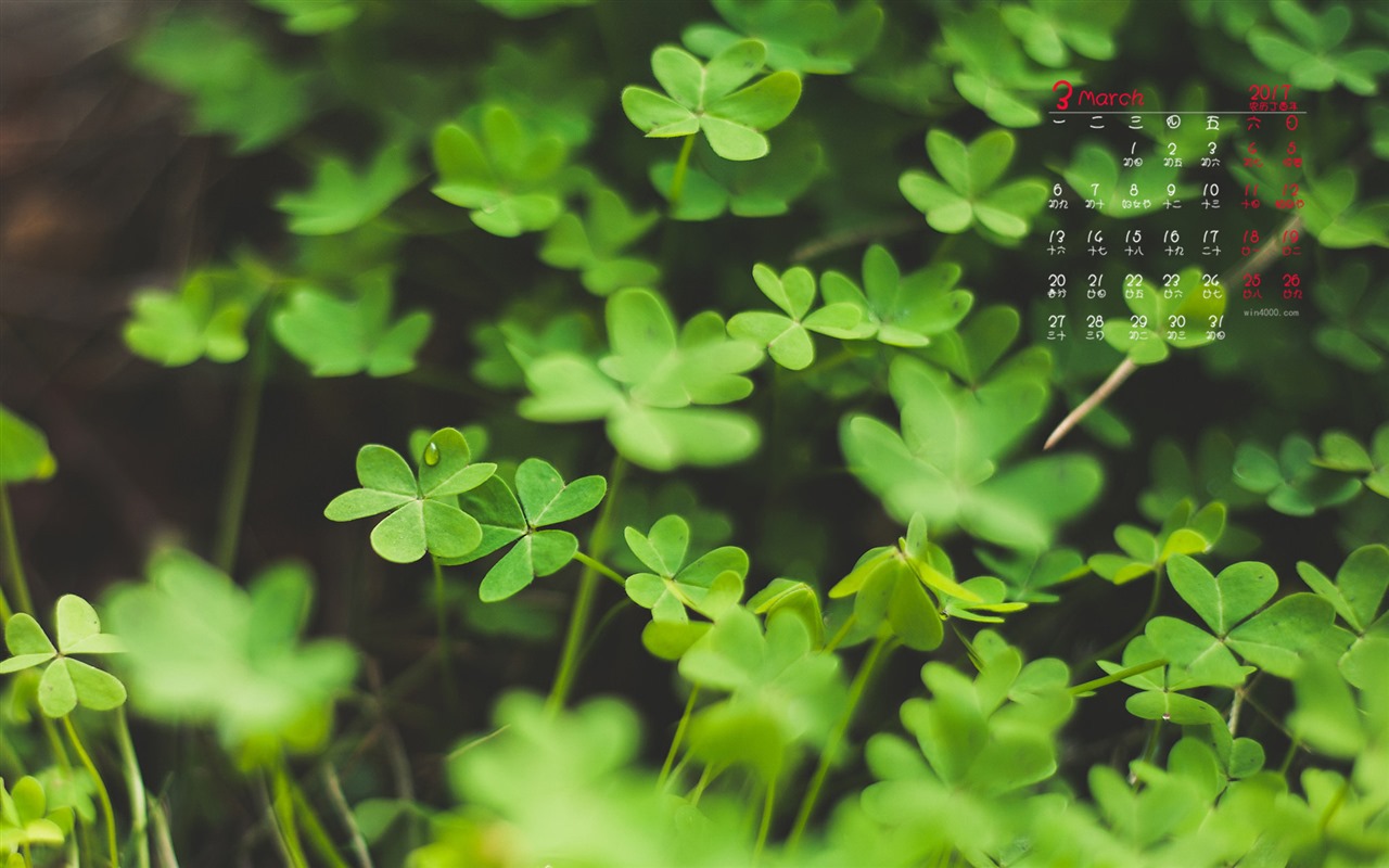 March 2017 calendar wallpaper (1) #6 - 1280x800