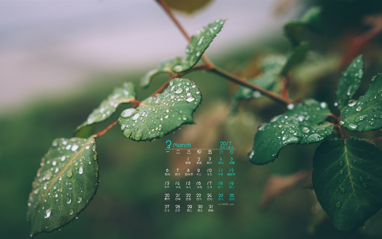 Fondo de pantalla del calendario de marzo de 2017 (1) #7 - 1280x800