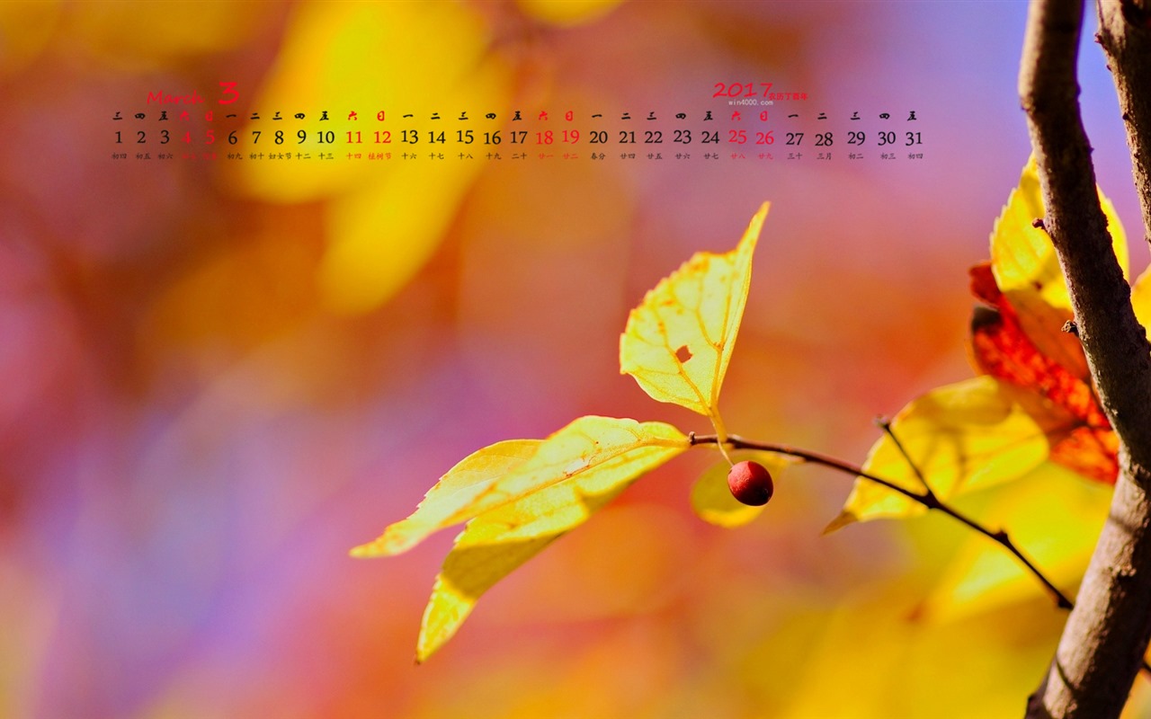 Fondo de pantalla del calendario de marzo de 2017 (1) #8 - 1280x800