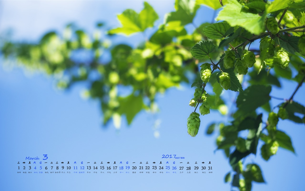 March 2017 calendar wallpaper (1) #9 - 1280x800