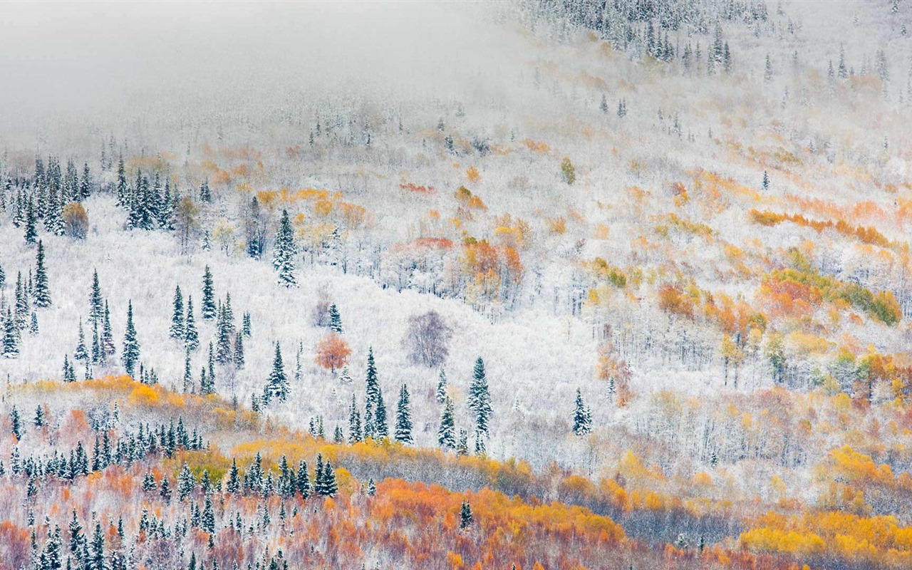 Listopadu 2016 Bing téma HD tapety na plochu (1) #8 - 1280x800