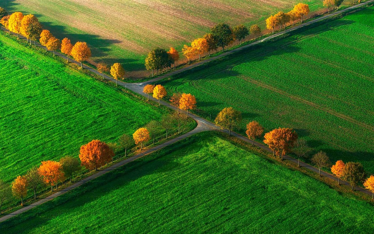 Noviembre de 2016 Bing tema HD fondos de pantalla (1) #12 - 1280x800