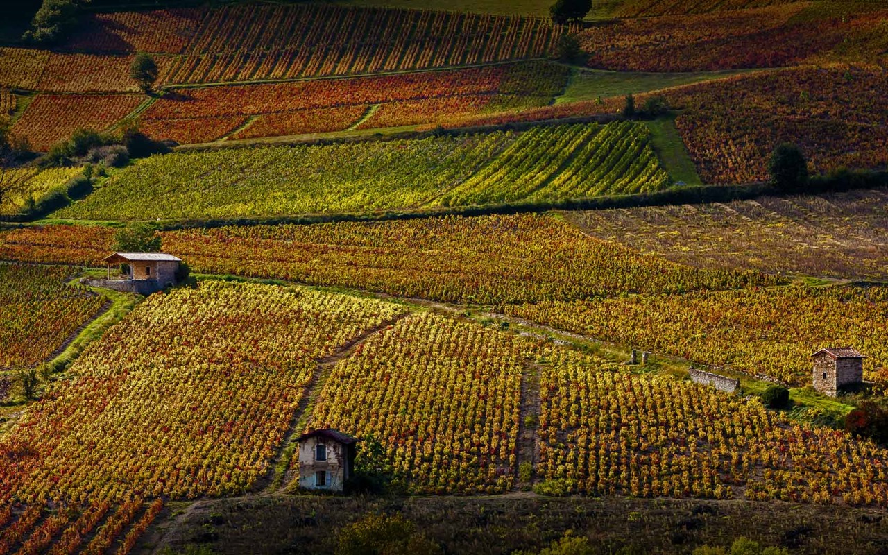 Noviembre de 2016 Bing tema HD fondos de pantalla (1) #36 - 1280x800