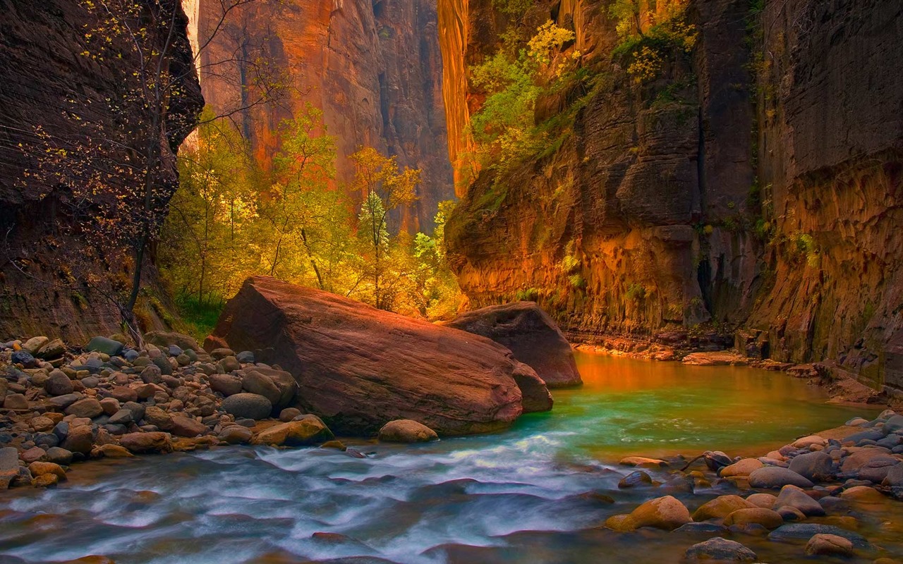 Listopadu 2016 Bing téma HD tapety na plochu (2) #3 - 1280x800
