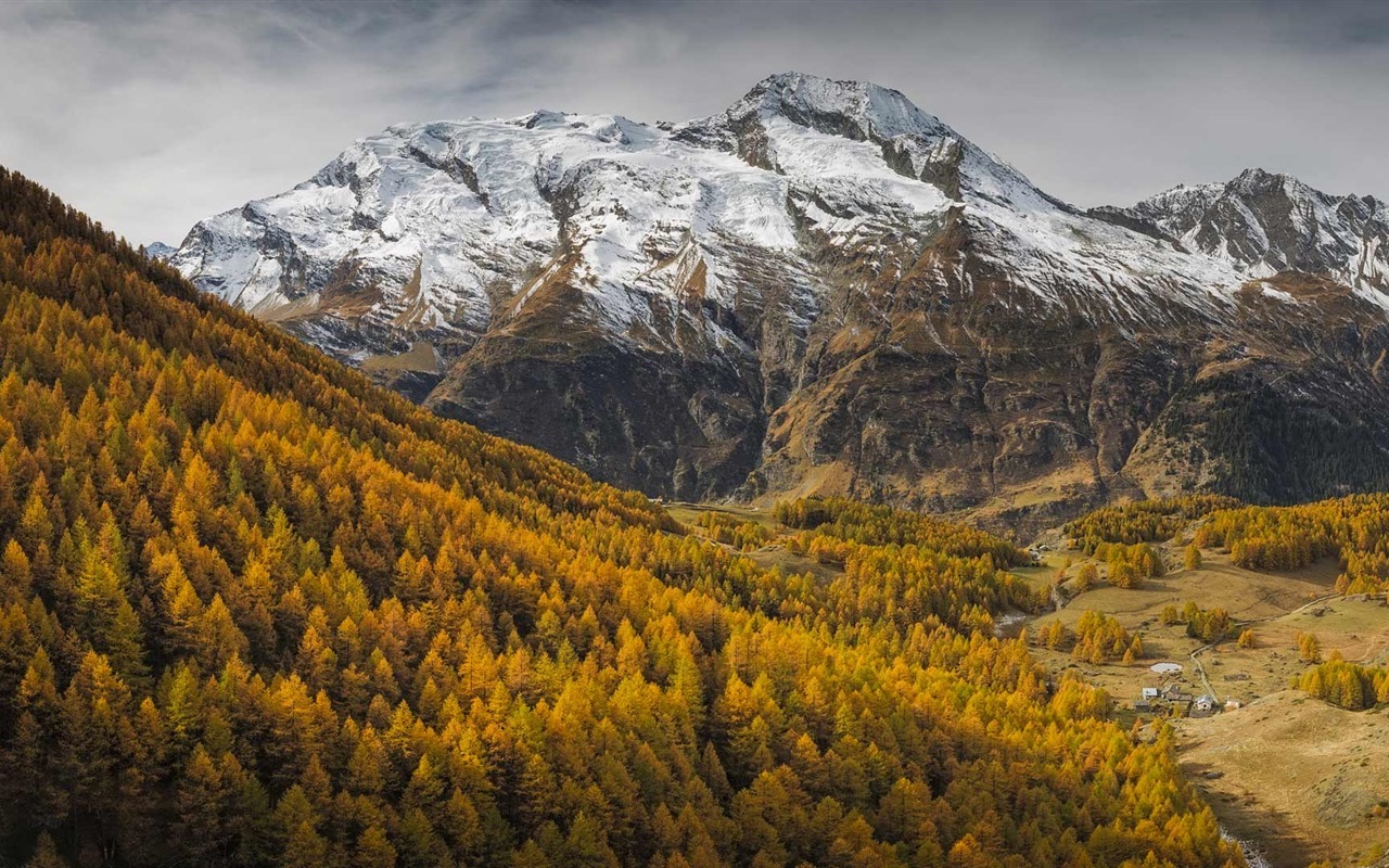 Novembre 2016 Bing thème HD fonds d'écran (2) #25 - 1280x800