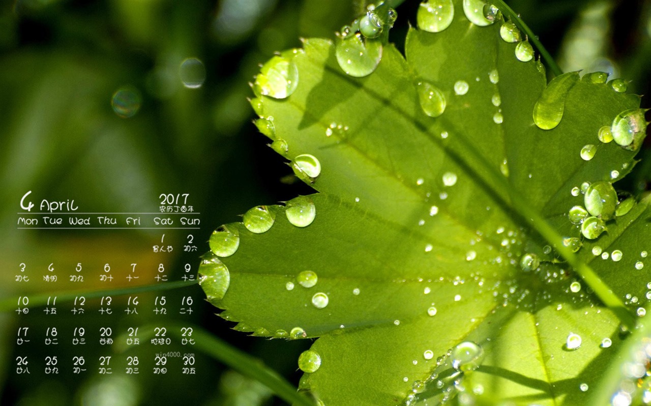 Fondo de pantalla calendario abril 2017 (1) #8 - 1280x800