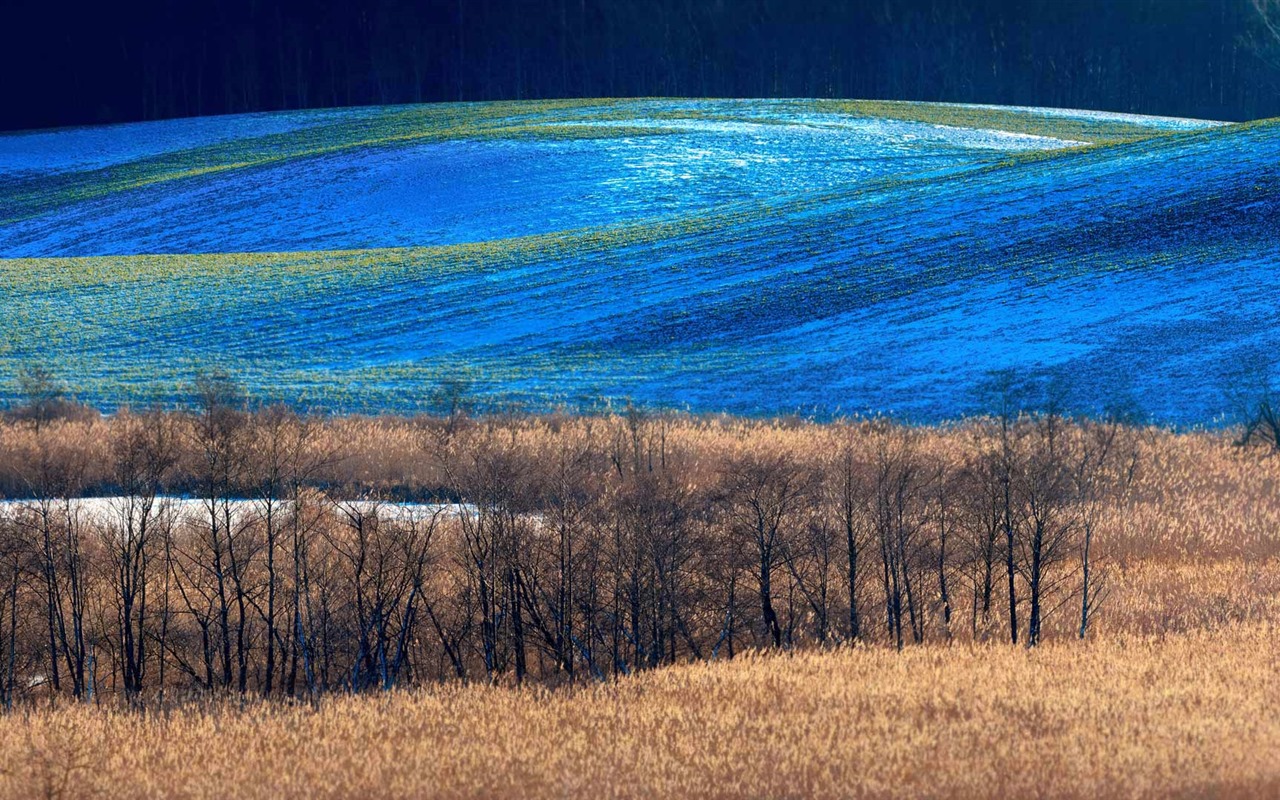 Prosinec 2016 Bing téma HD tapety (1) #19 - 1280x800