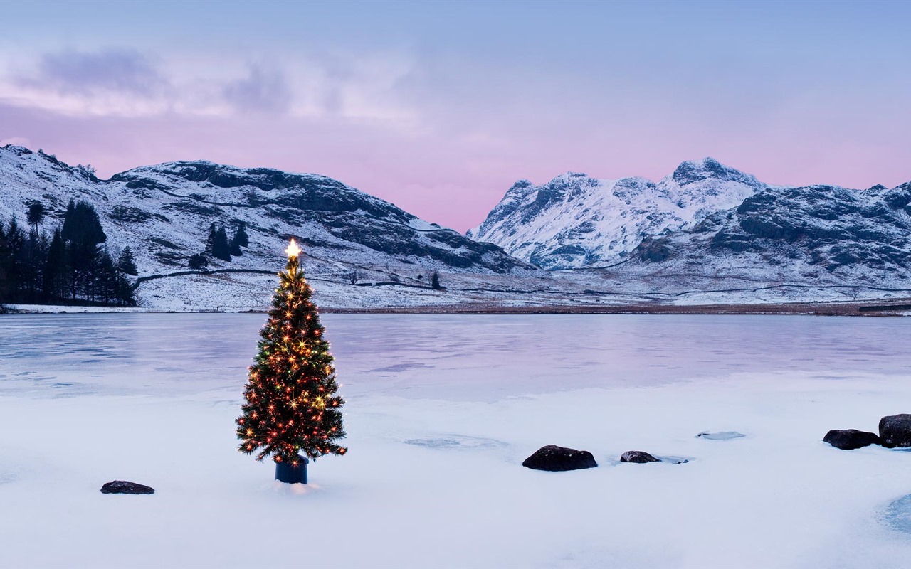 Prosinec 2016 Bing téma HD tapety (2) #9 - 1280x800