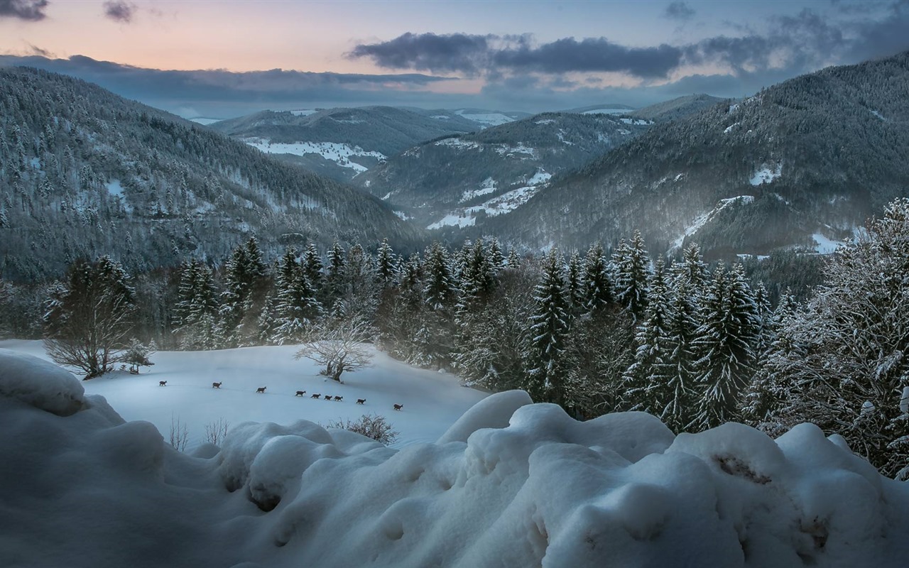 Décembre 2016 Fonds d'écran HD de thème Bing (2) #30 - 1280x800