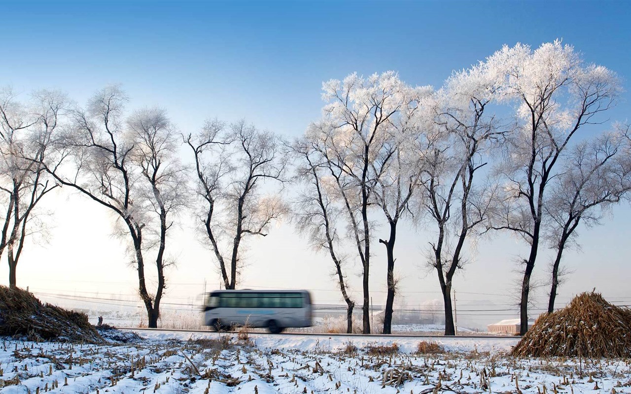 Janvier 2017 thème Bing du fond d'écran haute définition (2) #4 - 1280x800