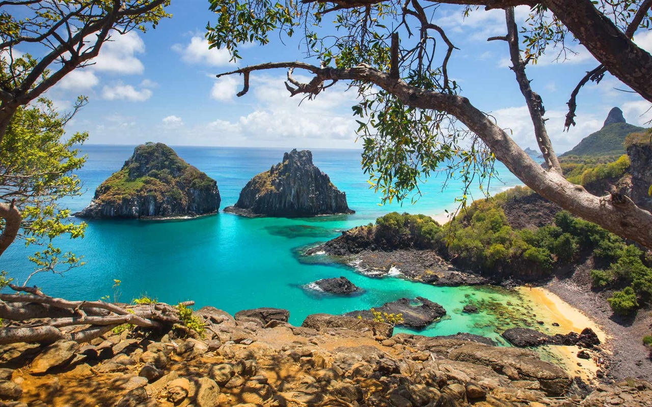 March 2017 Bing theme of high-definition wallpaper (2) #2 - 1280x800