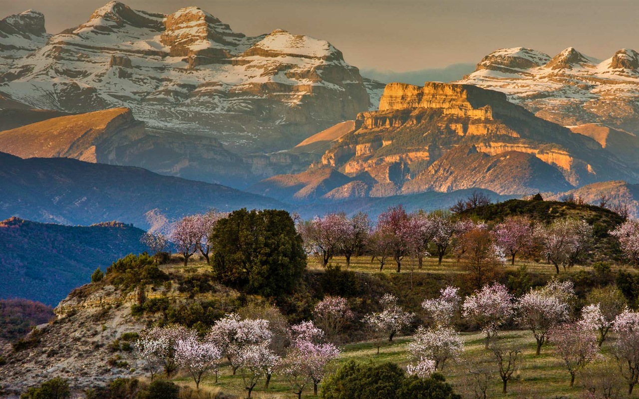 Marzo 2017 Bing tema de la alta definición de fondo de pantalla (2) #16 - 1280x800