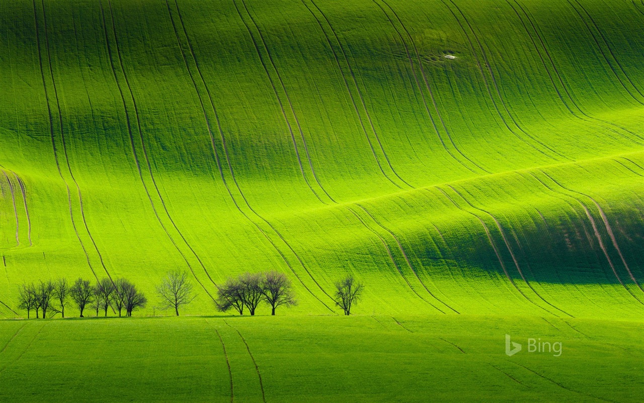 Duben 2017 Bing téma tapety s vysokým rozlišením #22 - 1280x800