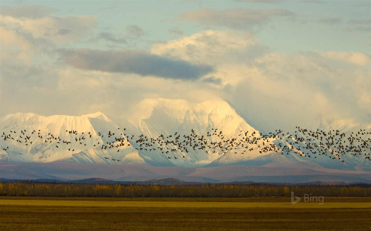 Mayo de 2017 Tema de Bing de fondo de pantalla de alta definición #14 - 1280x800